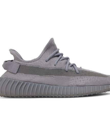 Yeezy boost 350 V2
