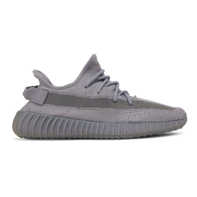 Yeezy boost 350 V2