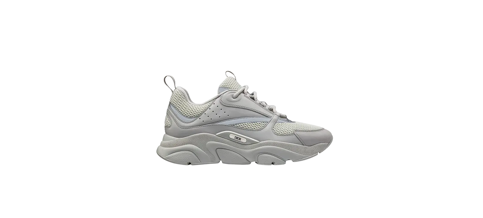 Dior B22 - gris